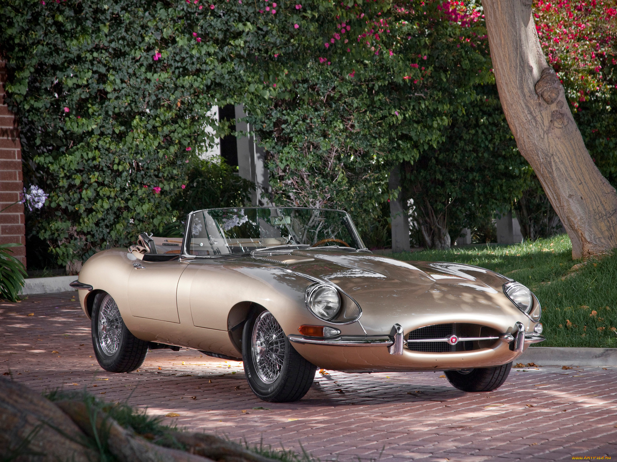 , jaguar, e-type